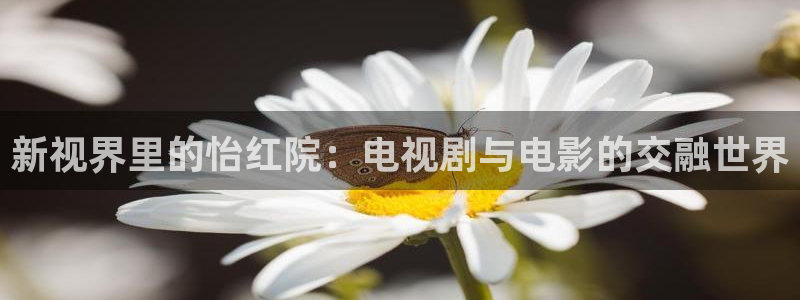 桃花桃子：新视界里的怡红院：电视剧与电影的交融世界