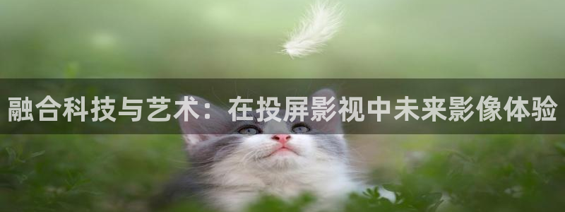 桃花电影版：融合科技与艺术：在投屏影视中未来影像体验