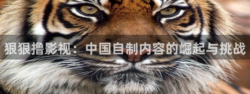 色七七影院桃花2017：狠狠撸影视：中国自制内容的崛起与挑战