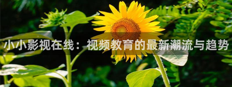 桃花影院vip永久入口：小小影视在线：视频教育的最新潮流与趋势