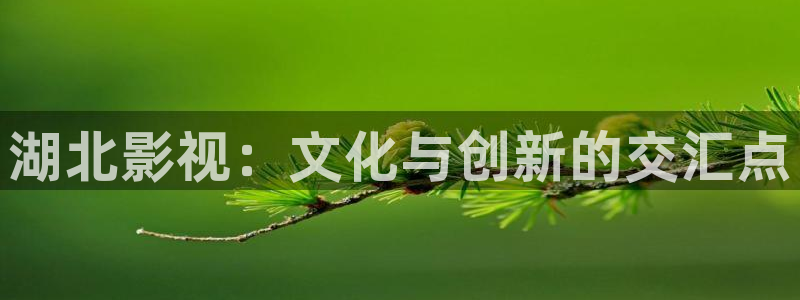 桃花影院在线观看高清版：湖北影视：文化与创新的交汇点