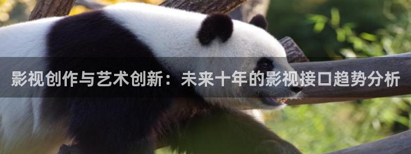 桃花岛在线影院：影视创作与艺术创新：未来十年的影视接口趋势分析