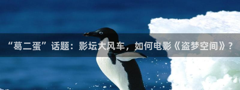 桃花影院手机在线观看：“葛二蛋”话题：影坛大风车，如何电影《盗梦空间》？