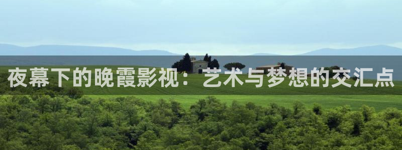 桃花完整版在线播放：夜幕下的晚霞影视：艺术与梦想的交汇点