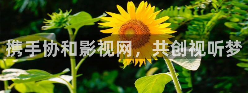 桃花影院免费看：携手协和影视网，共创视听梦