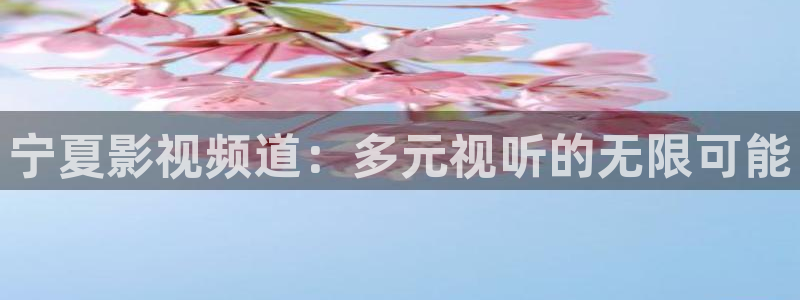 桃花影院免费看电影：宁夏影视频道：多元视听的无限可能